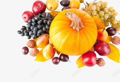 高清免費水果蔬菜PNG素材 助力網頁、電商與平面創意設計