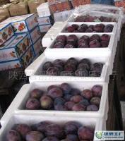 巨力王李子、黑寶石李子、黑總統(tǒng)李子的產(chǎn)地價(jià)格與供應(yīng)信息