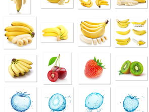 精品高清果蔬圖片與水果合成圖素材 模板下載指南與素材大全