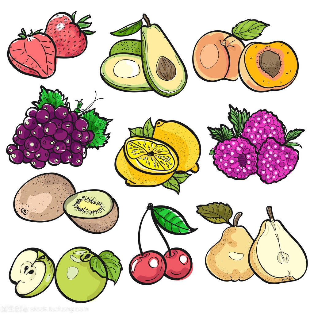果香四溢 白色背景下的水果彩色涂鴉矢量插圖